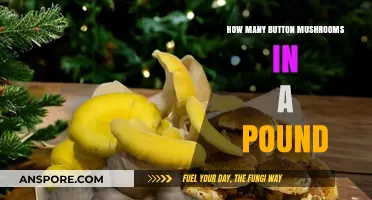 Button Mushrooms: How Many Make a Pound?