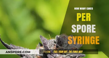 Maximizing Cake Yields: Understanding Spore Syringe Usage and Efficiency