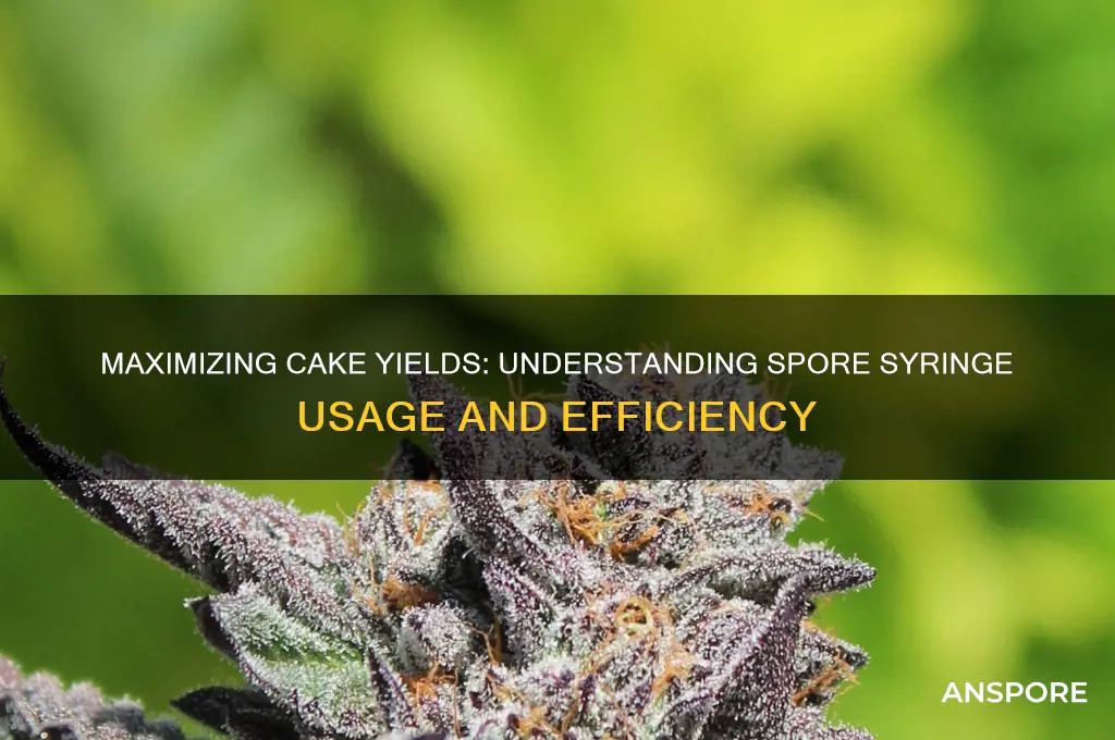 how many cakes per spore syringe