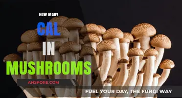 Mushrooms: A Low-Calorie Superfood