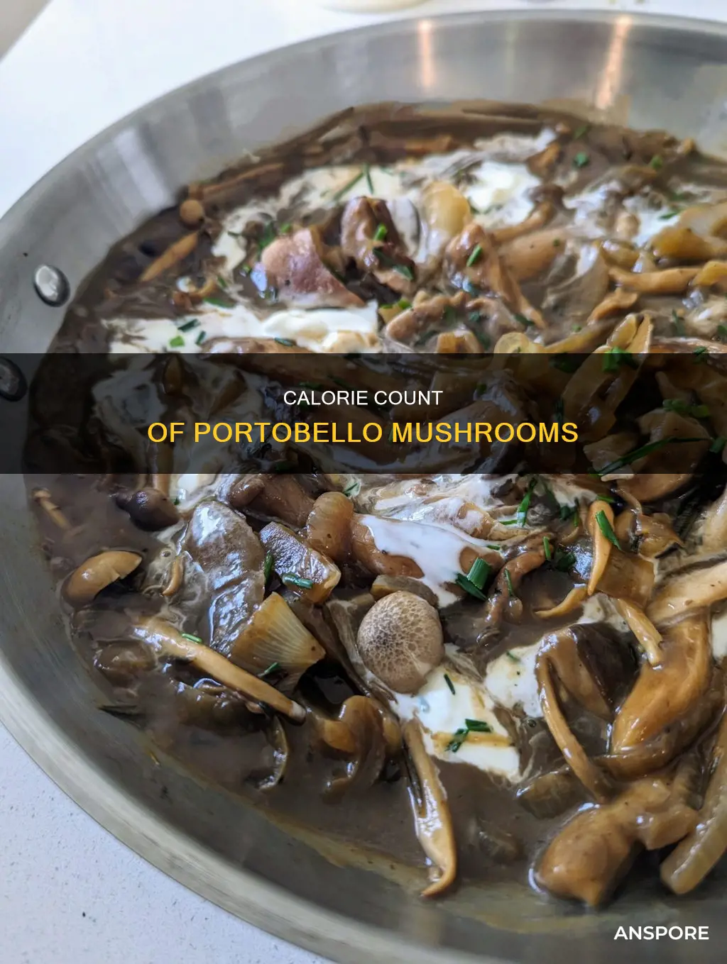 how many caloires in one ounces of portebello mushroom