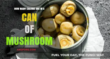 Calories in Canned Mushrooms: Nutritional Breakdown and Health Insights