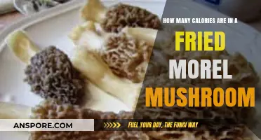 Calories in Fried Morel Mushrooms: A Tasty Nutrition Breakdown