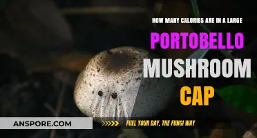 Portobello Mushroom Cap Calories: A Nutritional Breakdown for Large Caps