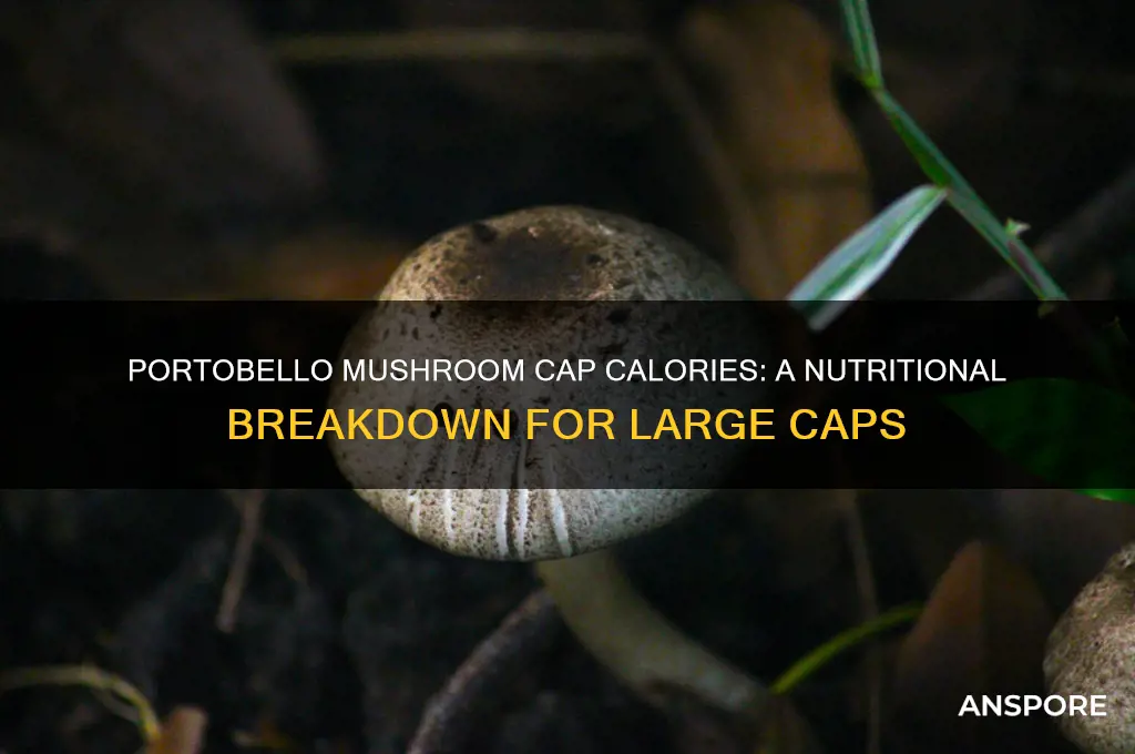 how many calories are in a large portobello mushroom cap