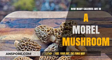 Discover the Caloric Content of Morel Mushrooms: A Nutritional Insight