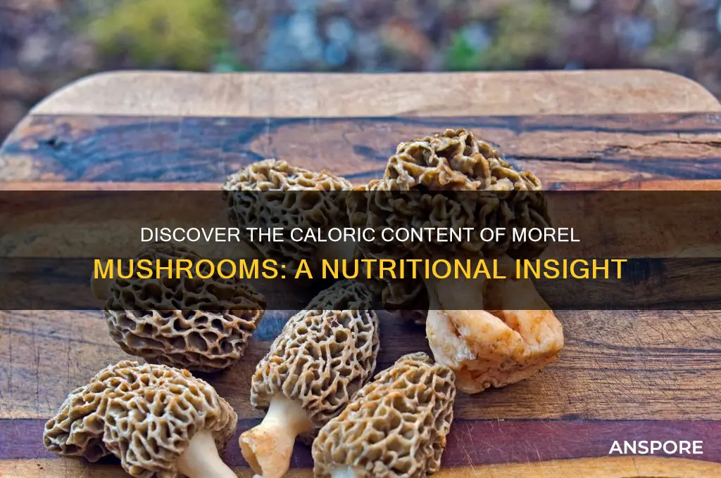 how many calories are in a morel mushroom