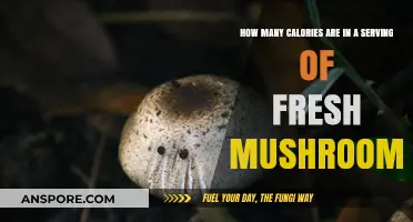 Mushroom Meals: Calorie Count for Fresh Servings