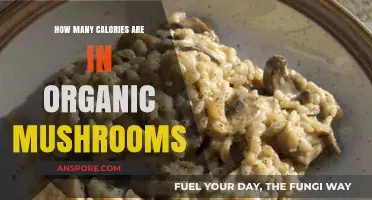 Mushroom Calories: Organic vs Regular