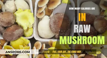 Mushrooms: Nutritional Powerhouses with Few Calories