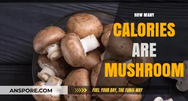 Mushrooms: Nutritional Powerhouses with Few Calories
