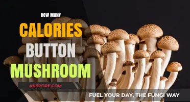 Mushroom Calories: How Much Energy Do They Provide?