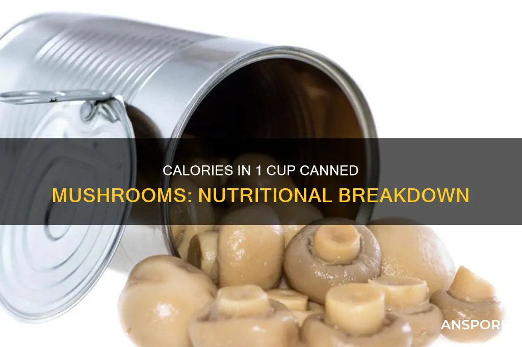 how many calories in 1 cup canned mushrooms