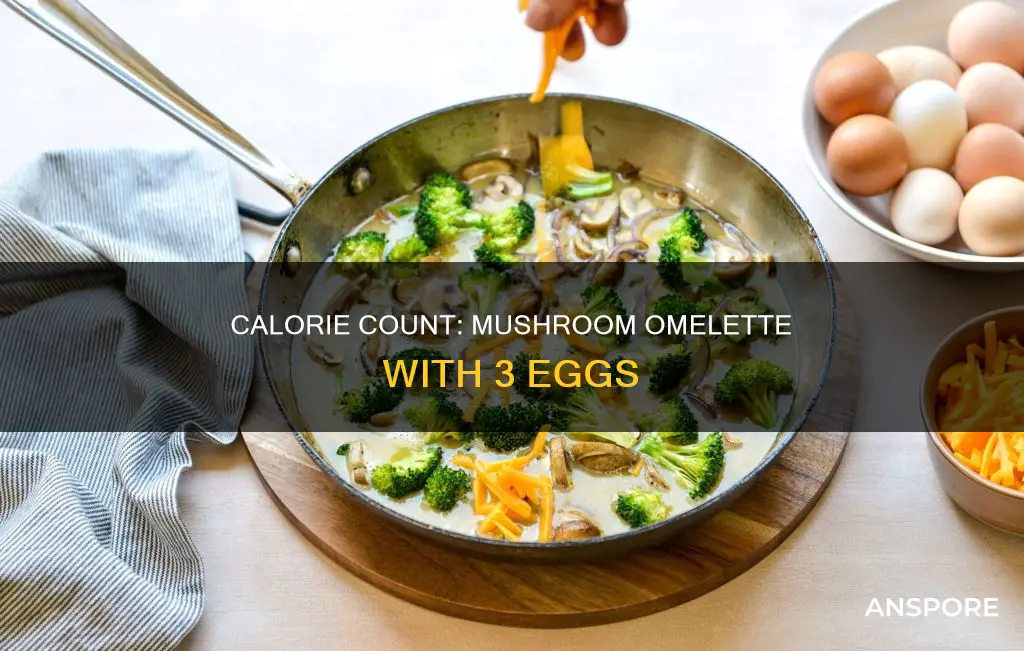 how many calories in a 3 egg mushroom omelette