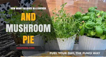 Chicken Pie Calories: Nutritional Facts and Figures