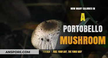 Portobello Mushroom Calories: Nutritional Value and Health Benefits Explained