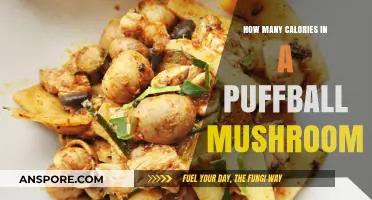 Caloric Content of Puffball Mushrooms: Nutritional Facts