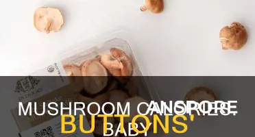 how many calories in baby button mushrooms