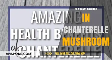 Calories in Chanterelle Mushrooms: Nutritional Breakdown