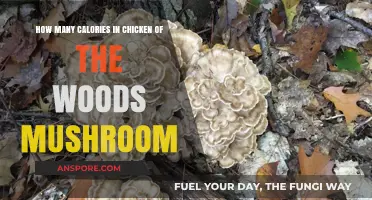 Chicken of the Woods: Calorie Count of This Mushroom