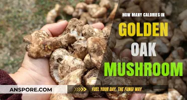 Golden Oak Mushrooms: Calorie Count and Nutrition Facts