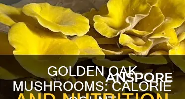 how many calories in golden oak mushrooms
