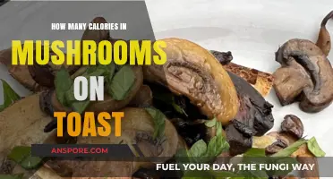 Mushroom Toast: A Calorie-Rich Breakfast Treat
