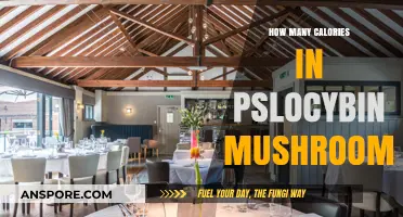 Calories in Magic Mushrooms: A Comprehensive Guide