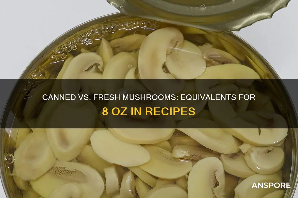 how many canned mushrooms equal 8 oz of fresh