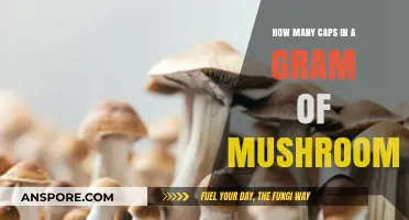 Mushroom Caps to Grams: A Quick Guide