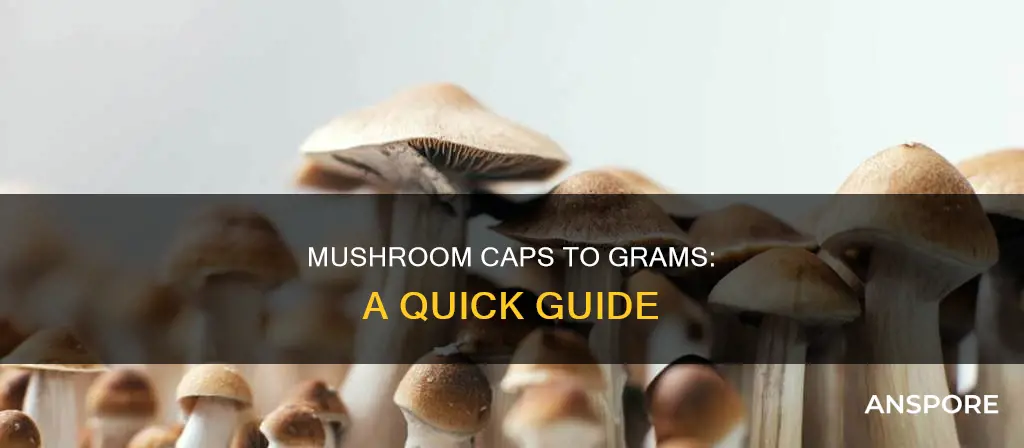 how many caps in a gram of mushrooms