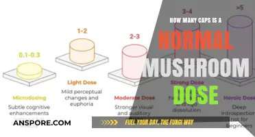 Mushroom Caps: A Safe Dose Guide