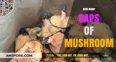Mushroom Caps: The Perfect Portion for Your Plate