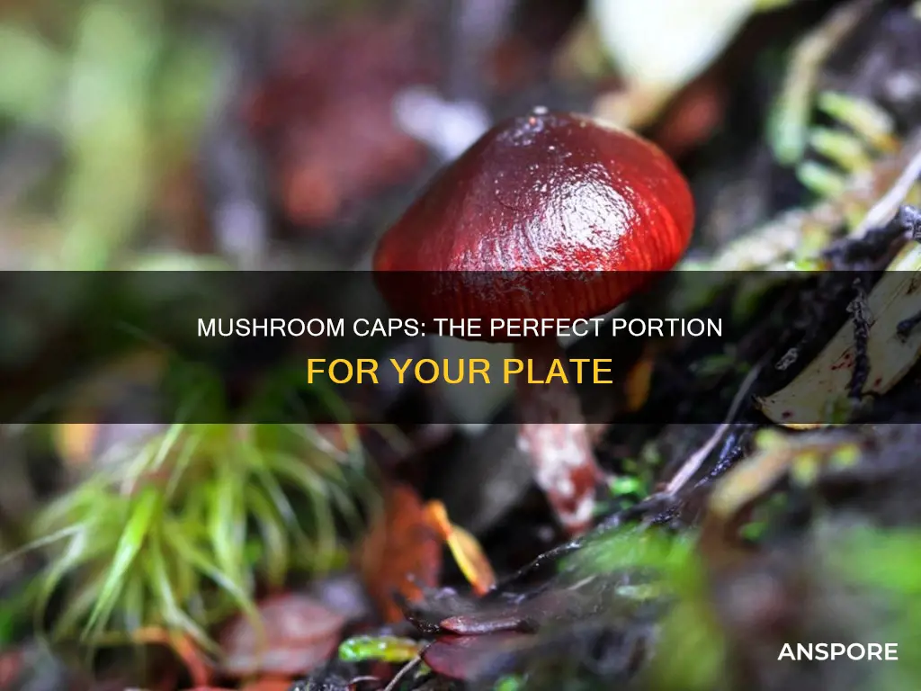 how many caps of mushrooms