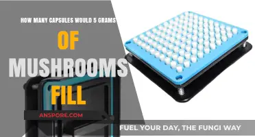 Mushroom Capsules: Filling the Right Amount