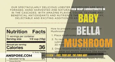 Carbohydrate Content of Baby Bella Mushrooms