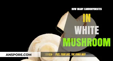 Mushroom Carbohydrates: How Many Carbs in White Mushrooms?