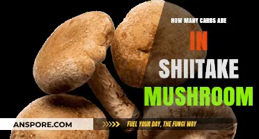 Shiitake Mushrooms: Carb Content and Nutritional Facts