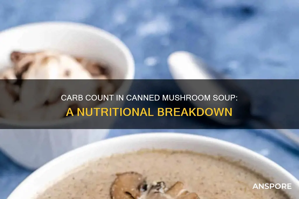 how many carbs in a can of mushroom soup