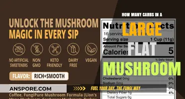 Mushroom Carb Count: Large Flat Fungi Facts