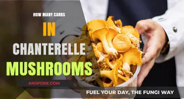 Carb Content of Chanterelle Mushrooms Explained