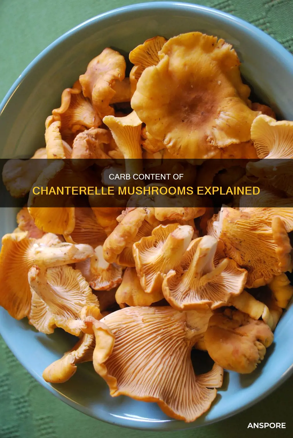 how many carbs in chanterelle mushrooms