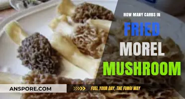 Carb Count in Fried Morel Mushrooms: A Nutritional Breakdown