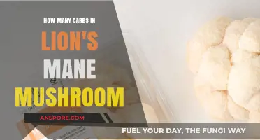 Lion's Mane Carb Content: A Detailed Look