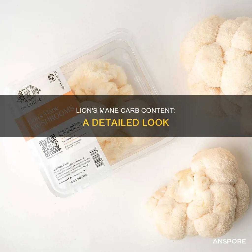 how many carbs in lion