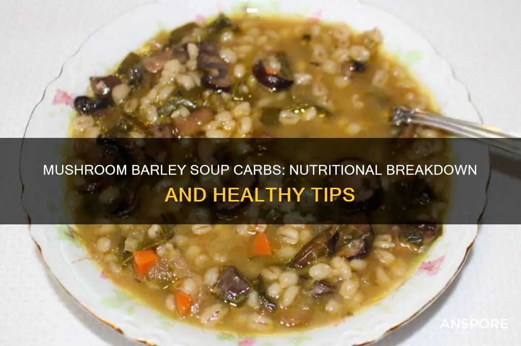 how many carbs in mushroom barley soup