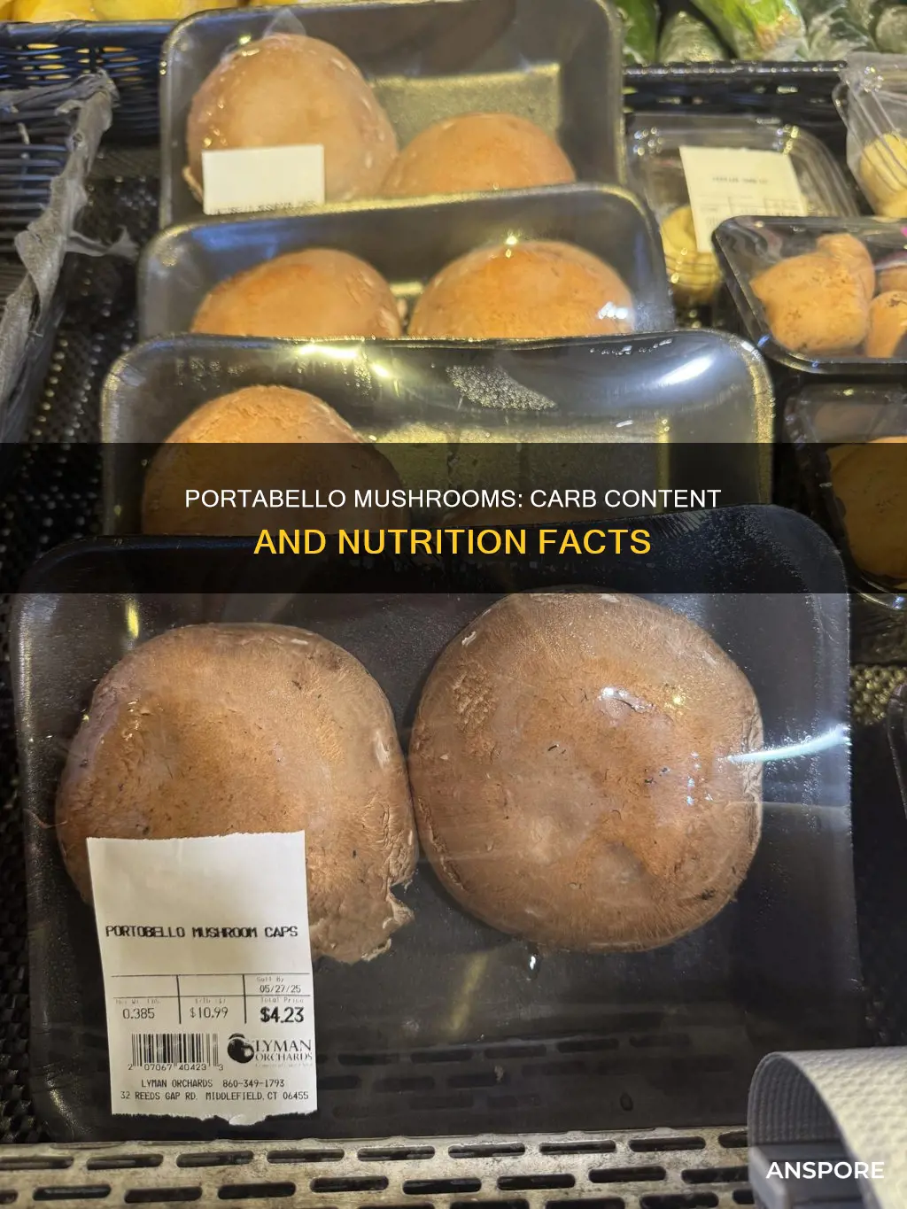 how many carbs in portabello mushrooms