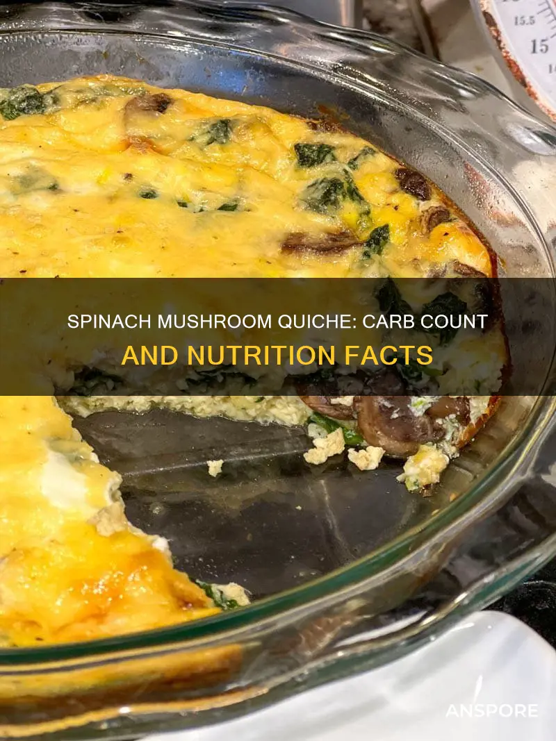 how many carbs in spinach mushroom quiche