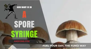 Understanding Spore Syringe CC Volume: A Comprehensive Guide