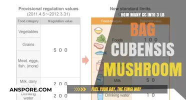 Magic Mushroom Yield: Filling 3-Pound Bags from CC Kits